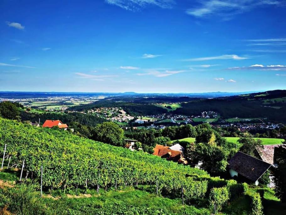 Wiednermichl - Urlaub In Den Weinbergen Krottendorf bei Ligist エクステリア 写真